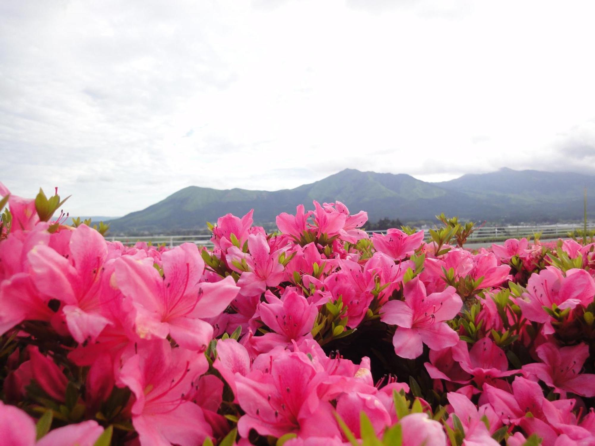 Hotel Shikino Mori Aso Esterno foto