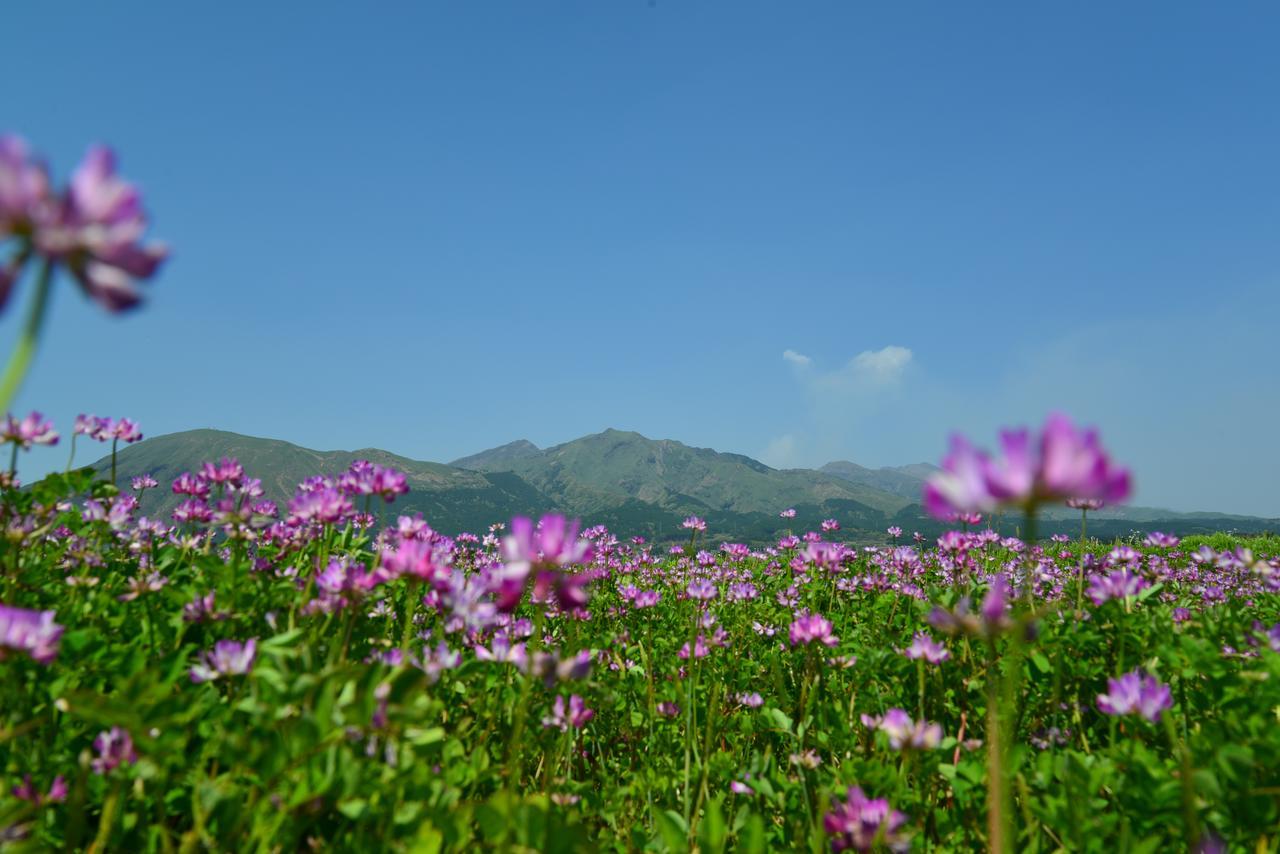 Hotel Shikino Mori Aso Camera foto