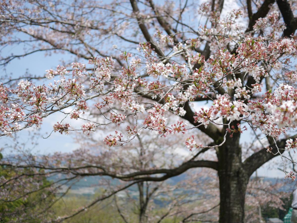 Hotel Shikino Mori Aso Esterno foto