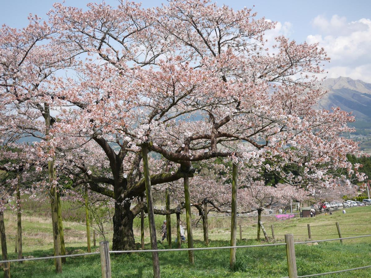 Hotel Shikino Mori Aso Esterno foto